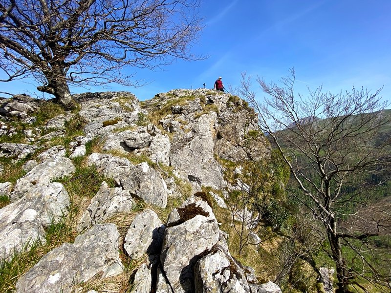 Tontorra