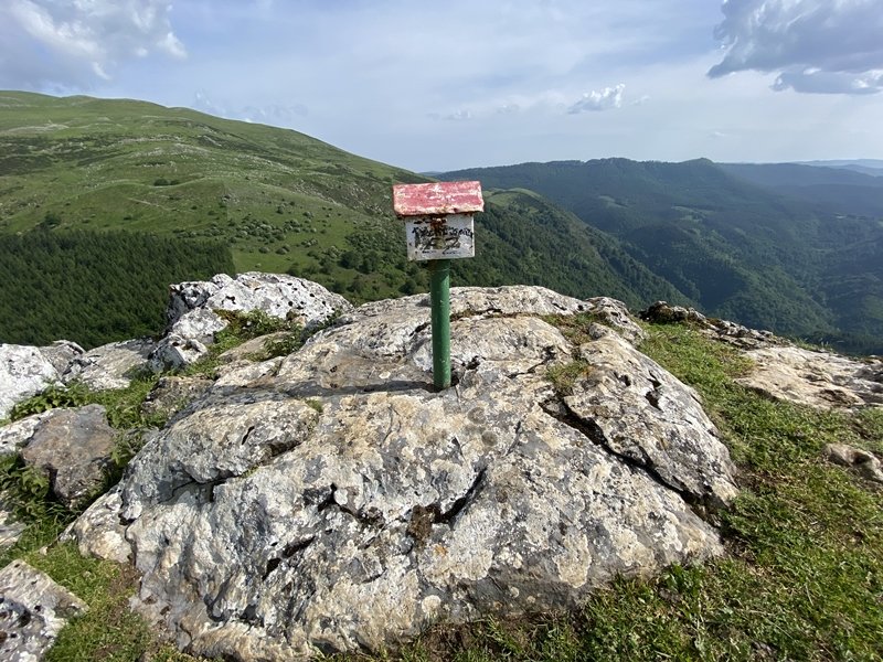 Buzoia