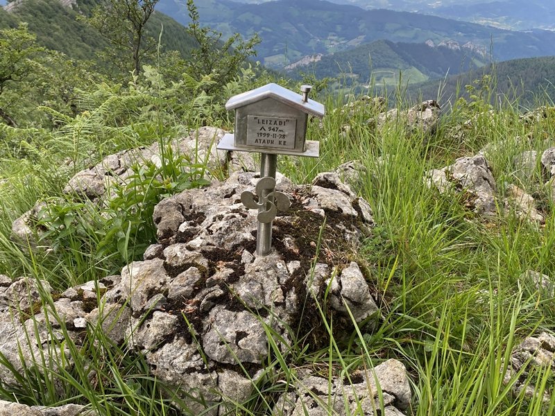 Buzoia