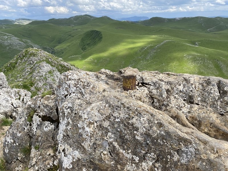Buzoia