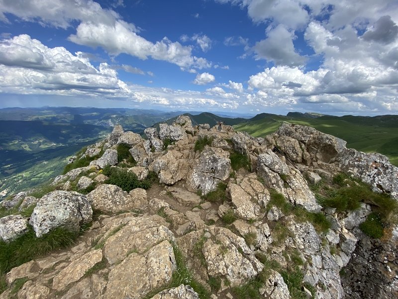 Tontorra