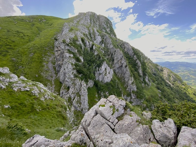 Larrunarri