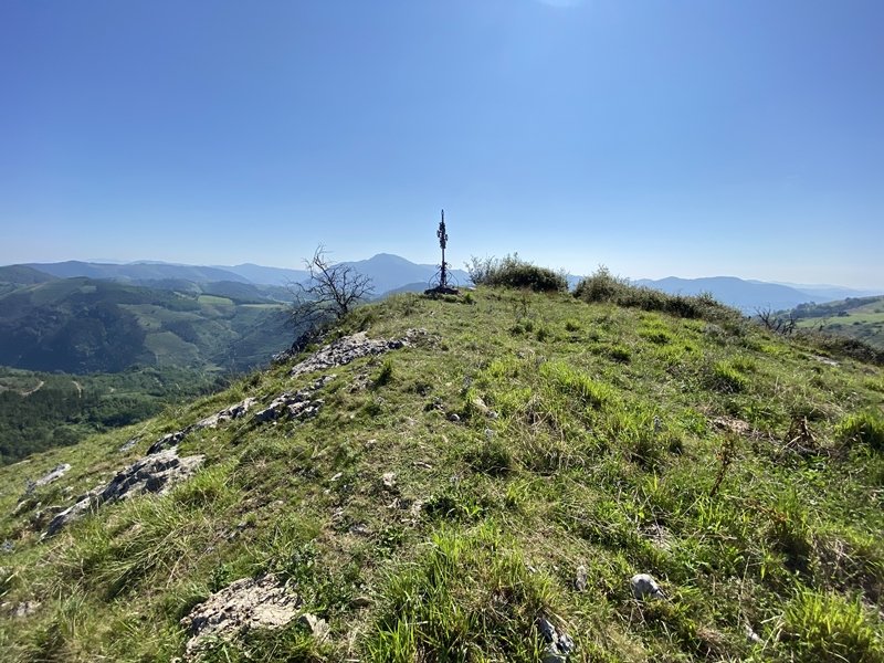 Tontorra