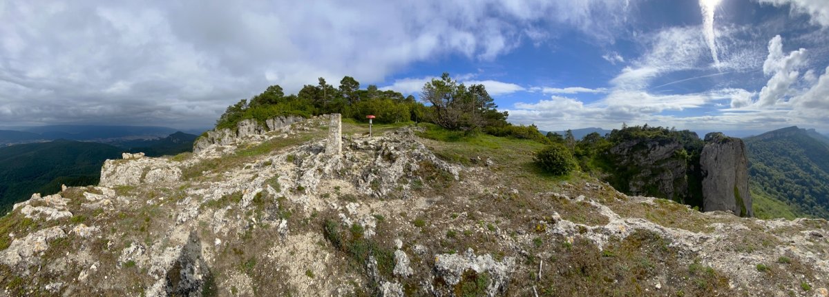 Tontorra