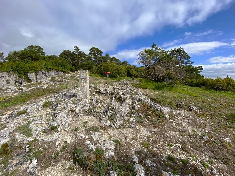 Tontorra