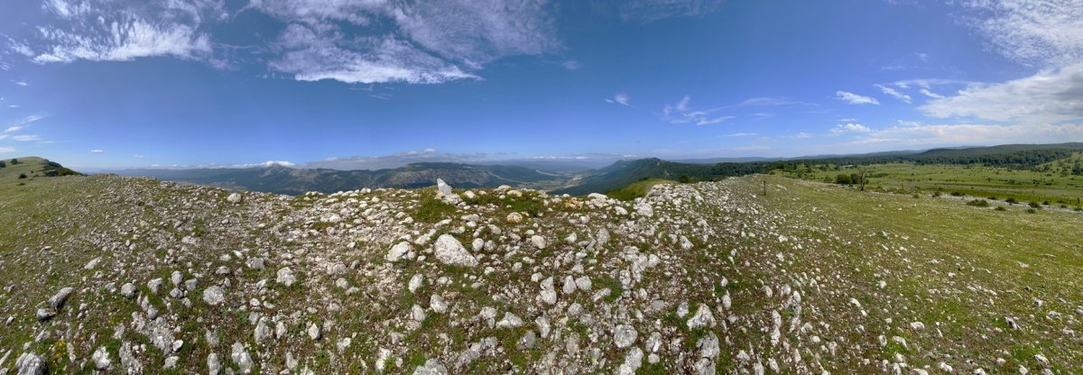 Tontorra