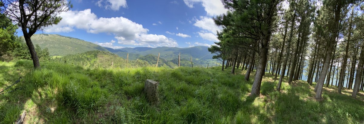 Tontorra