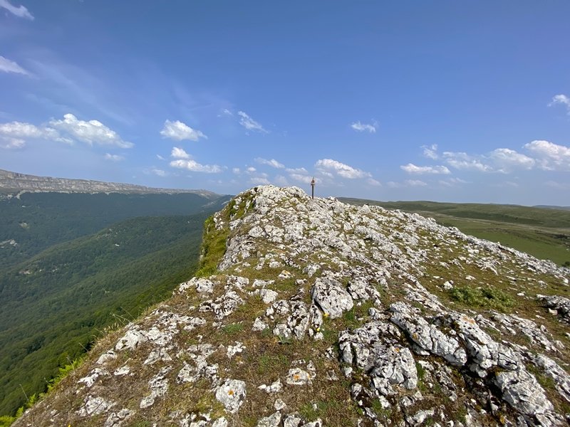 Tontorra