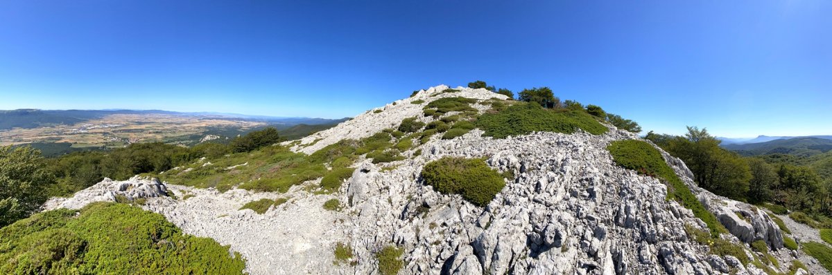Tontorra