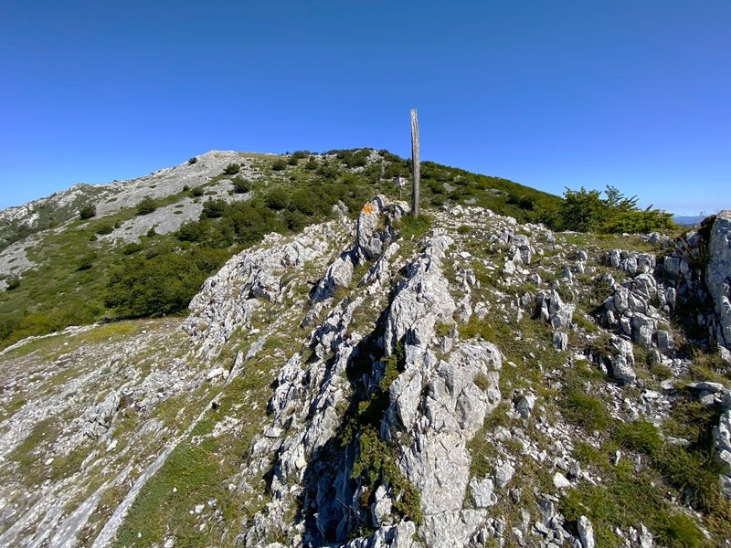 Tontorra