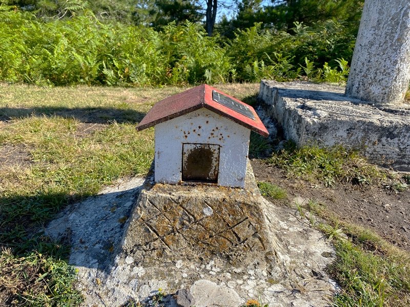 Buzoia