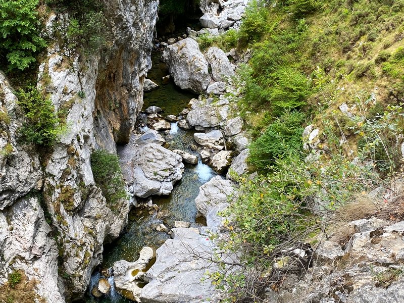 Careseko Arroila