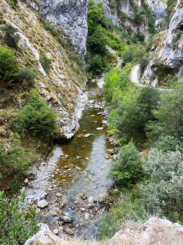 Careseko Arroila