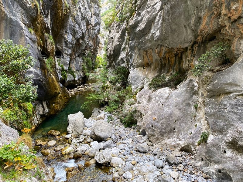 Careseko Arroila