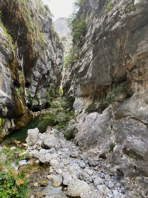Careseko Arroila