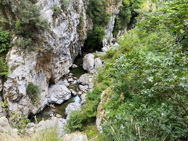 Careseko Arroila