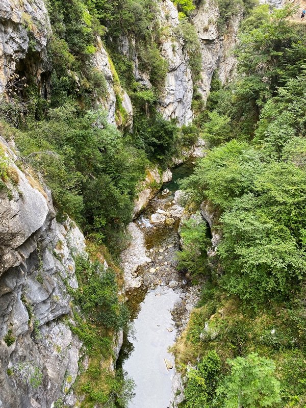 Careseko Arroila