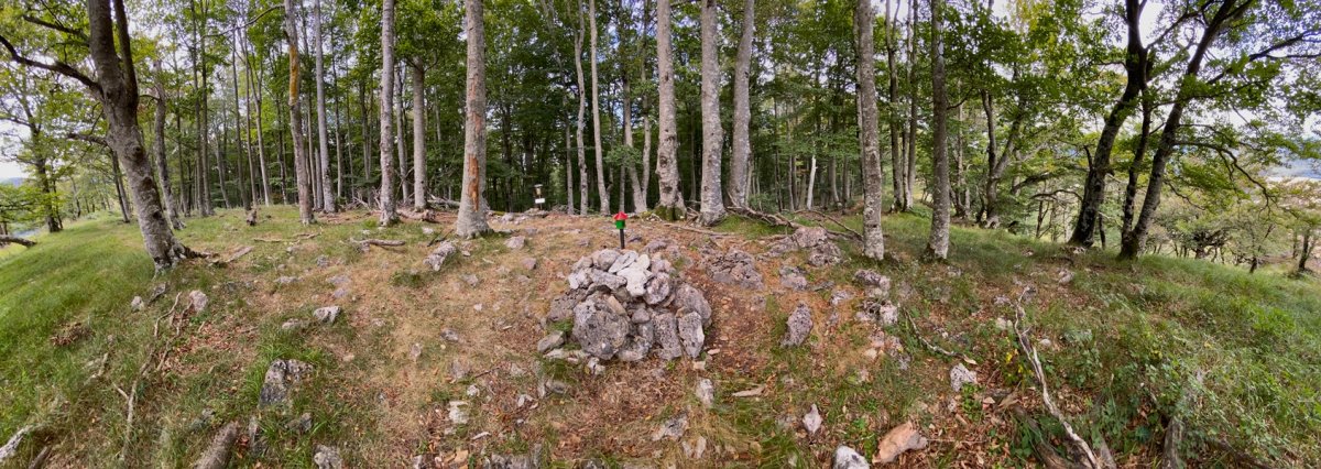 Tontorra