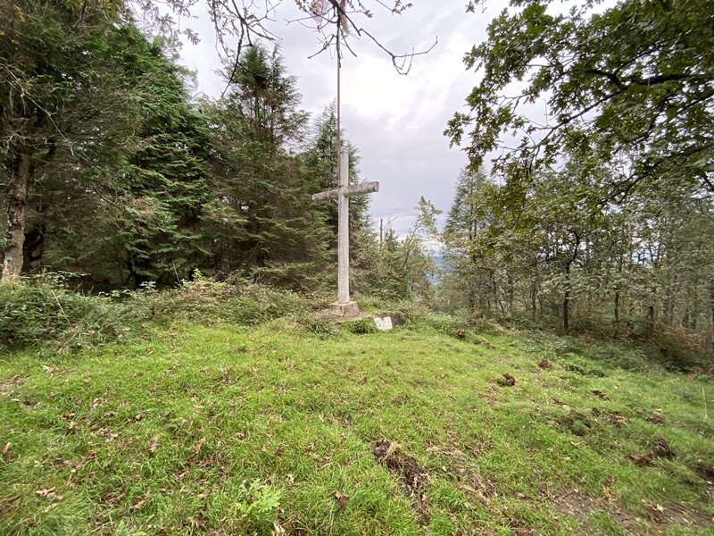 Gurutzea