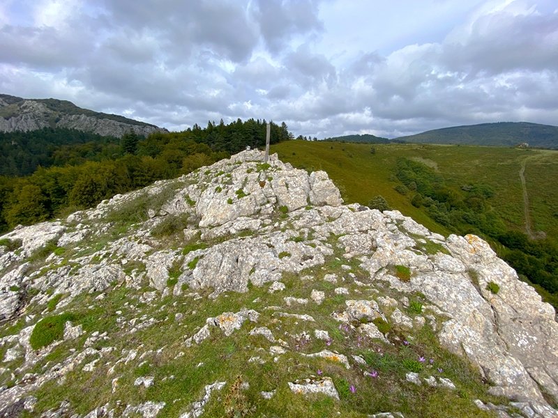 Tontorra