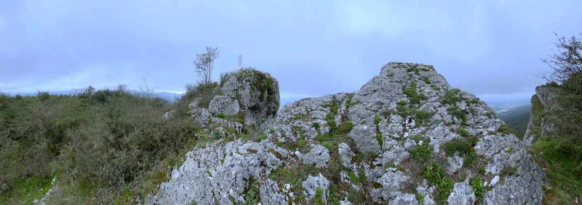 Tontorra