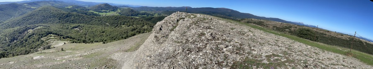 Tontorra
