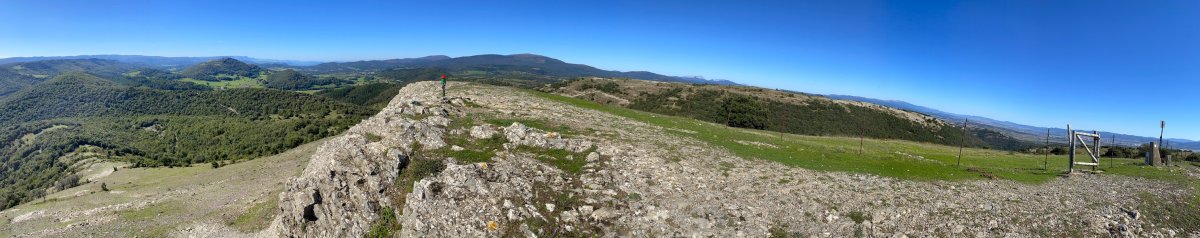 Tontorra
