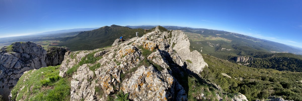 Tontorra