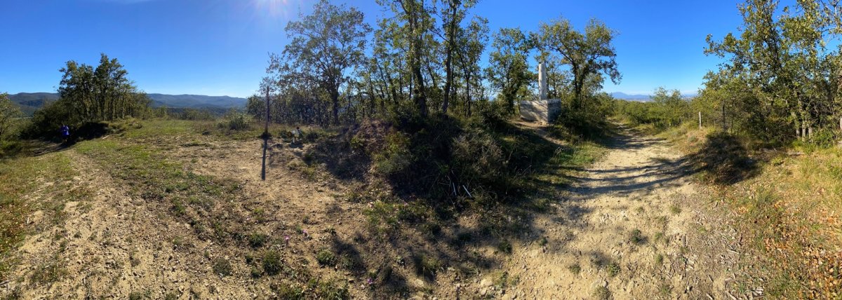 Tontorra