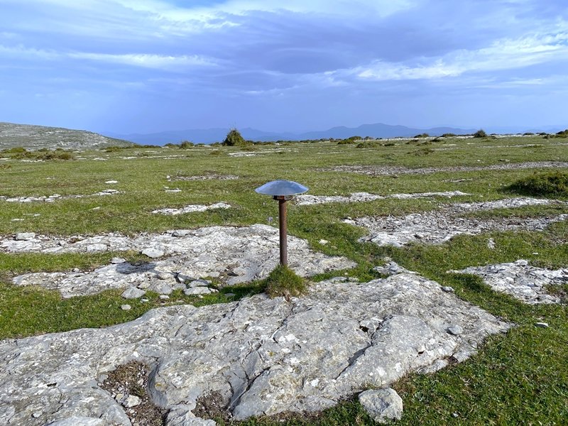 Tontorra
