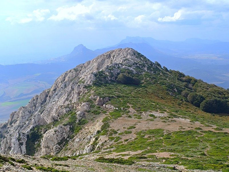 Grudo