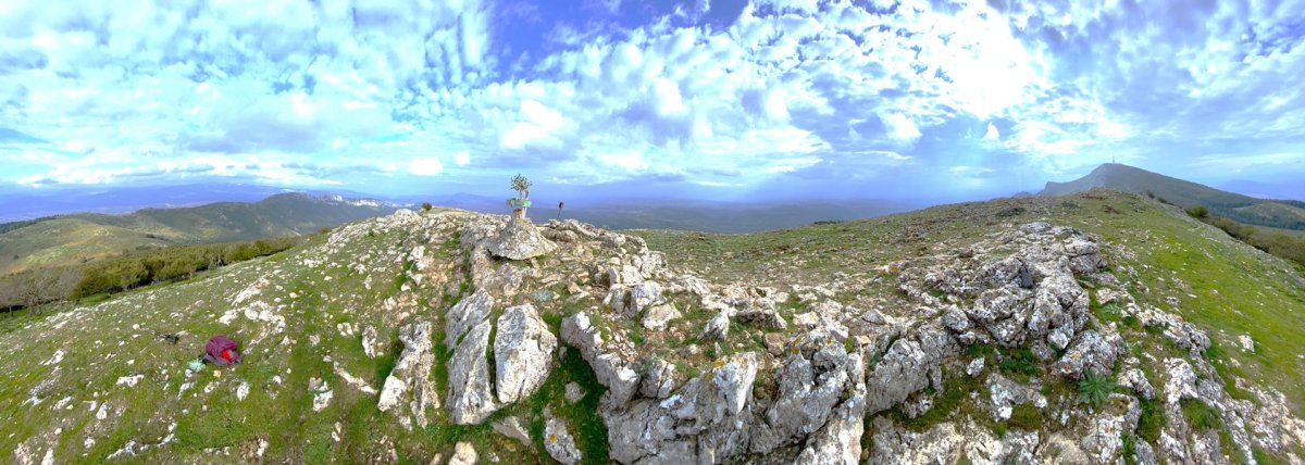 Tontorra