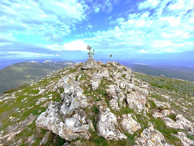 Tontorra
