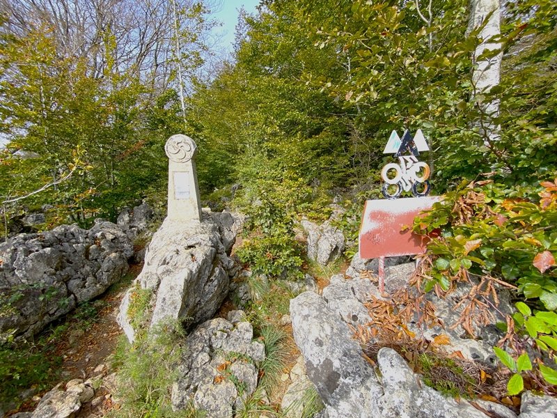 Tontorra