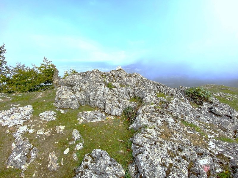 Tontorra