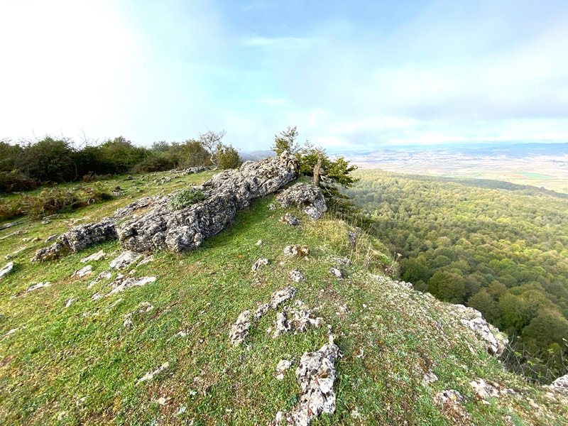 Tontorra
