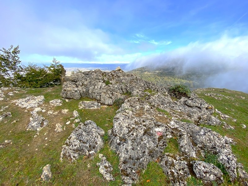 Tontorra