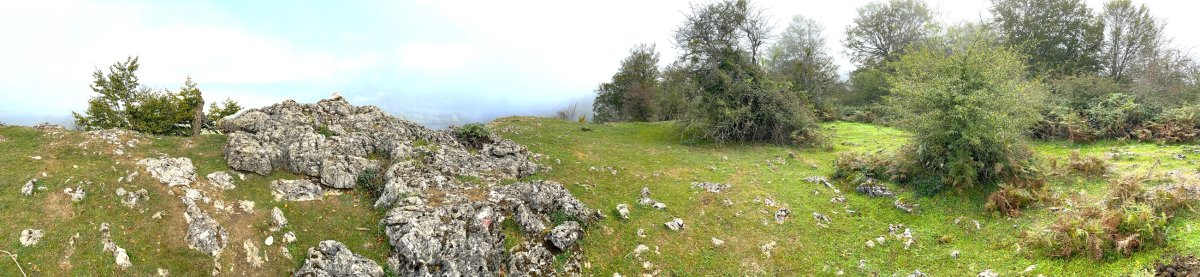 Tontorra