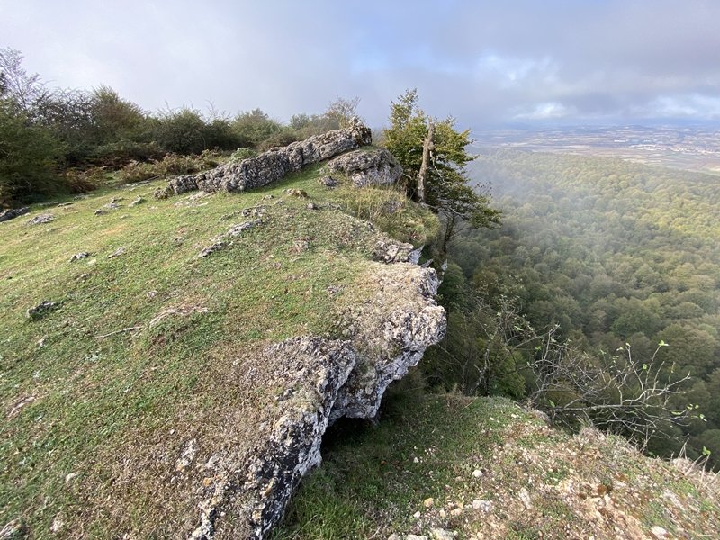 Tontorra