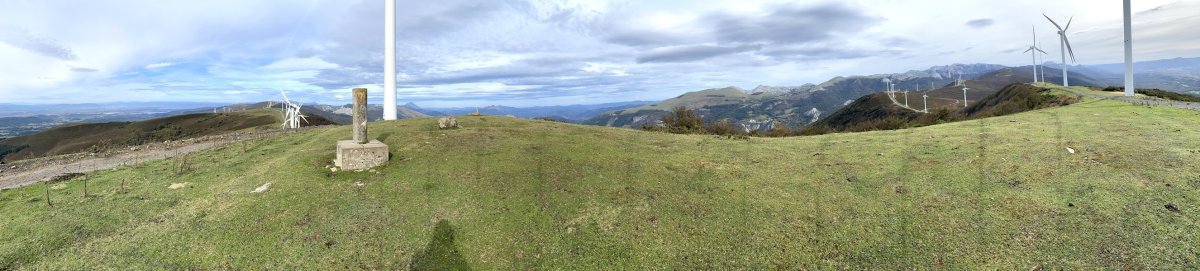 Tontorra