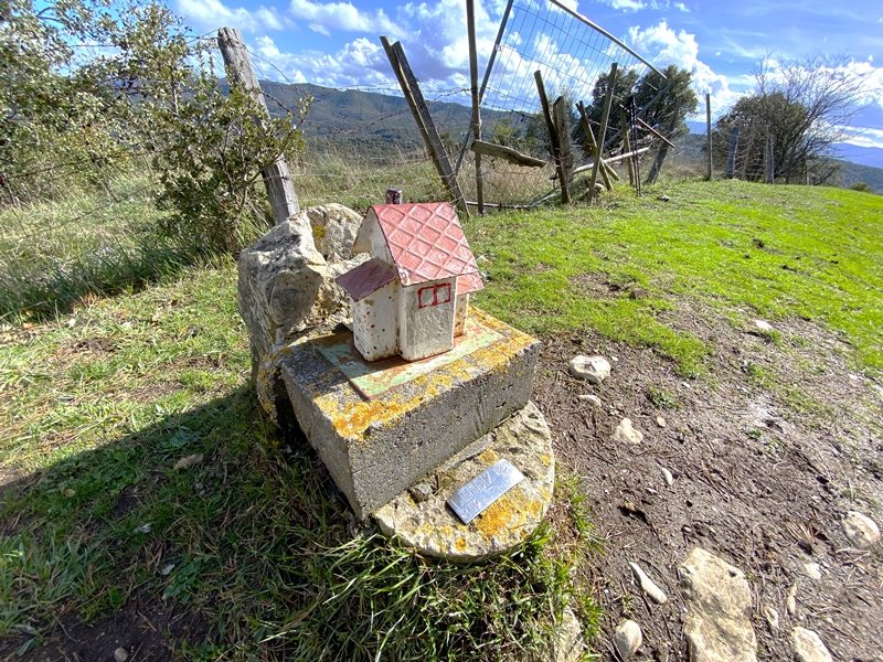 Buzoia