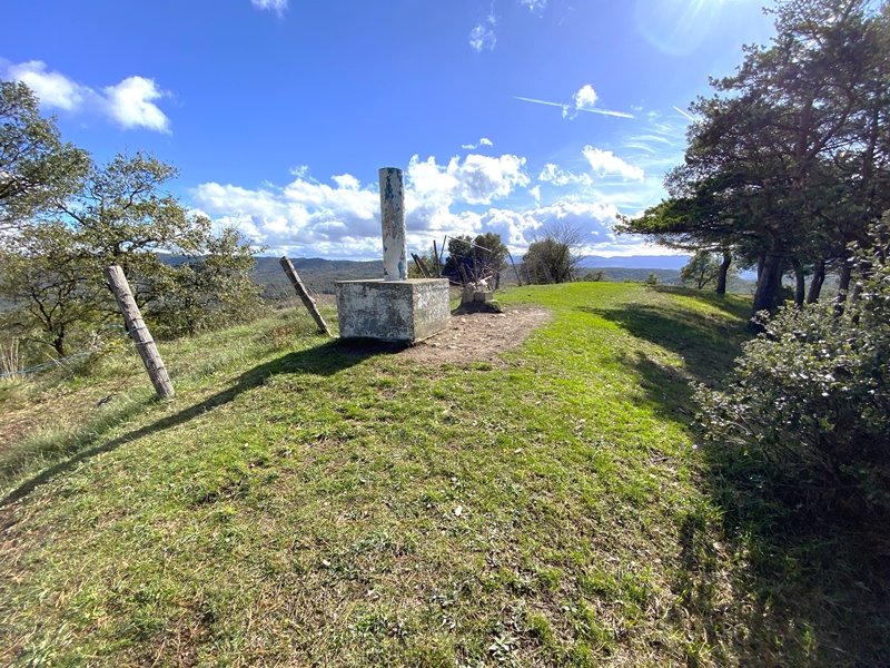 Tontorra