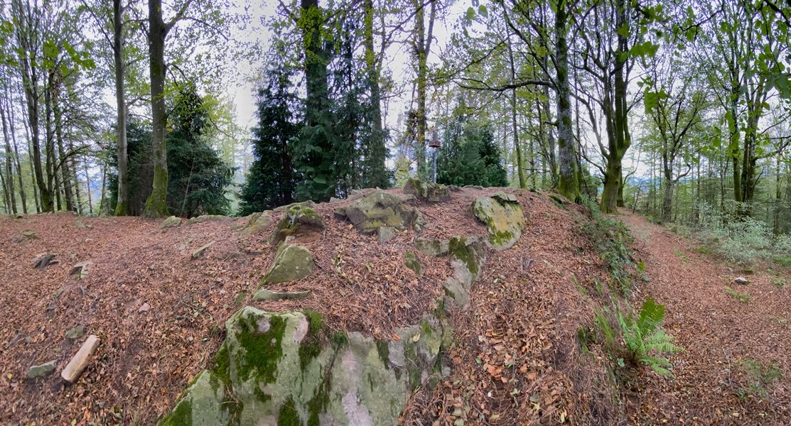 Tontorra