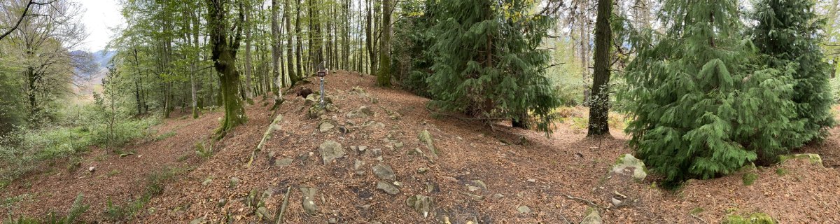 Tontorra