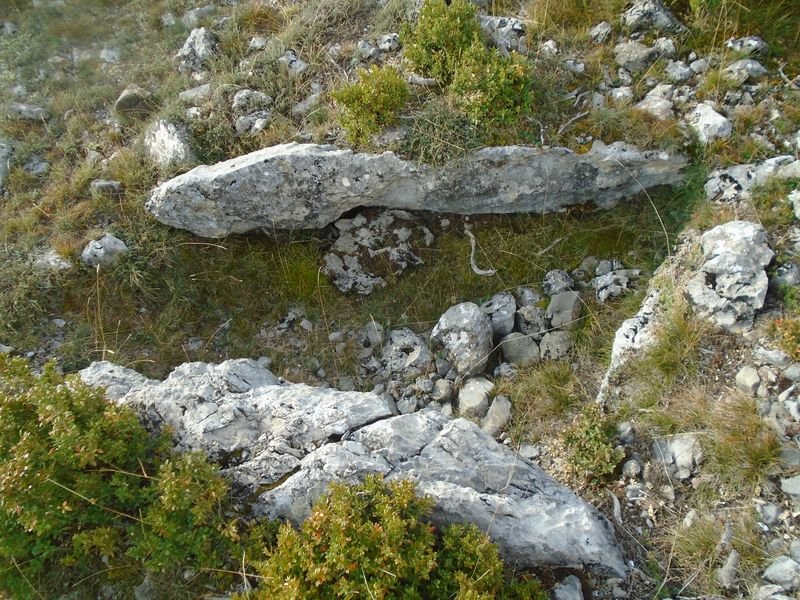 santa llucia