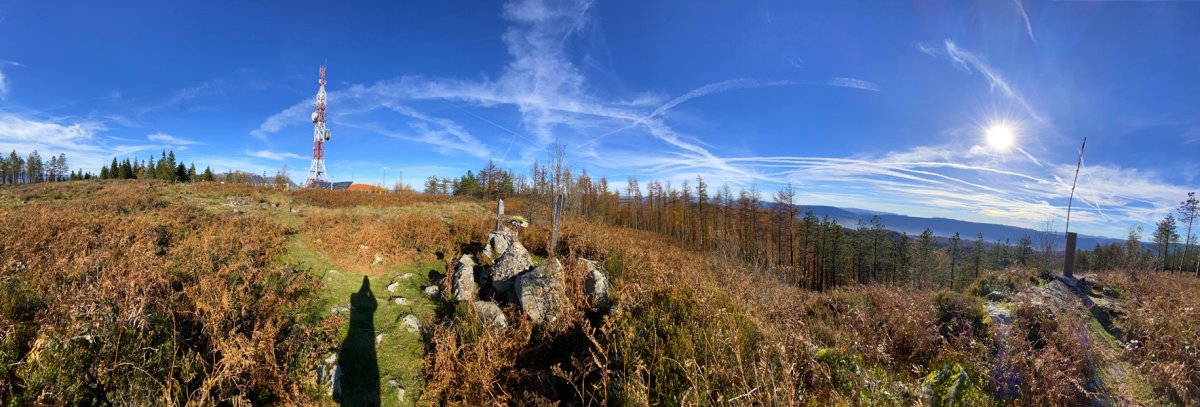 Tontorra