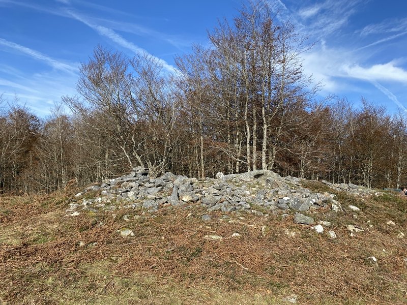 Tontorra
