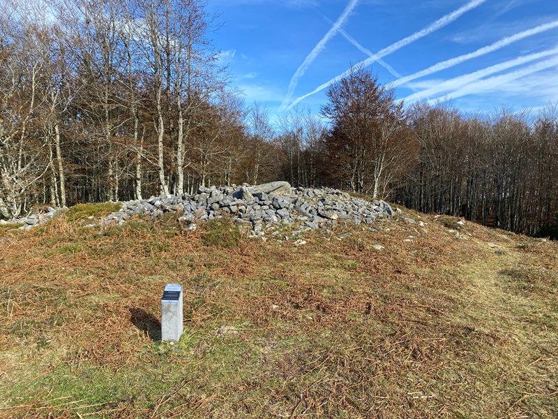 Tontorra