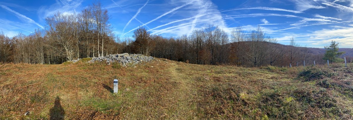 Tontorra