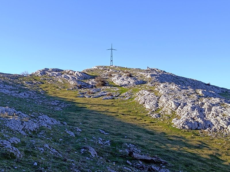 Tontorra